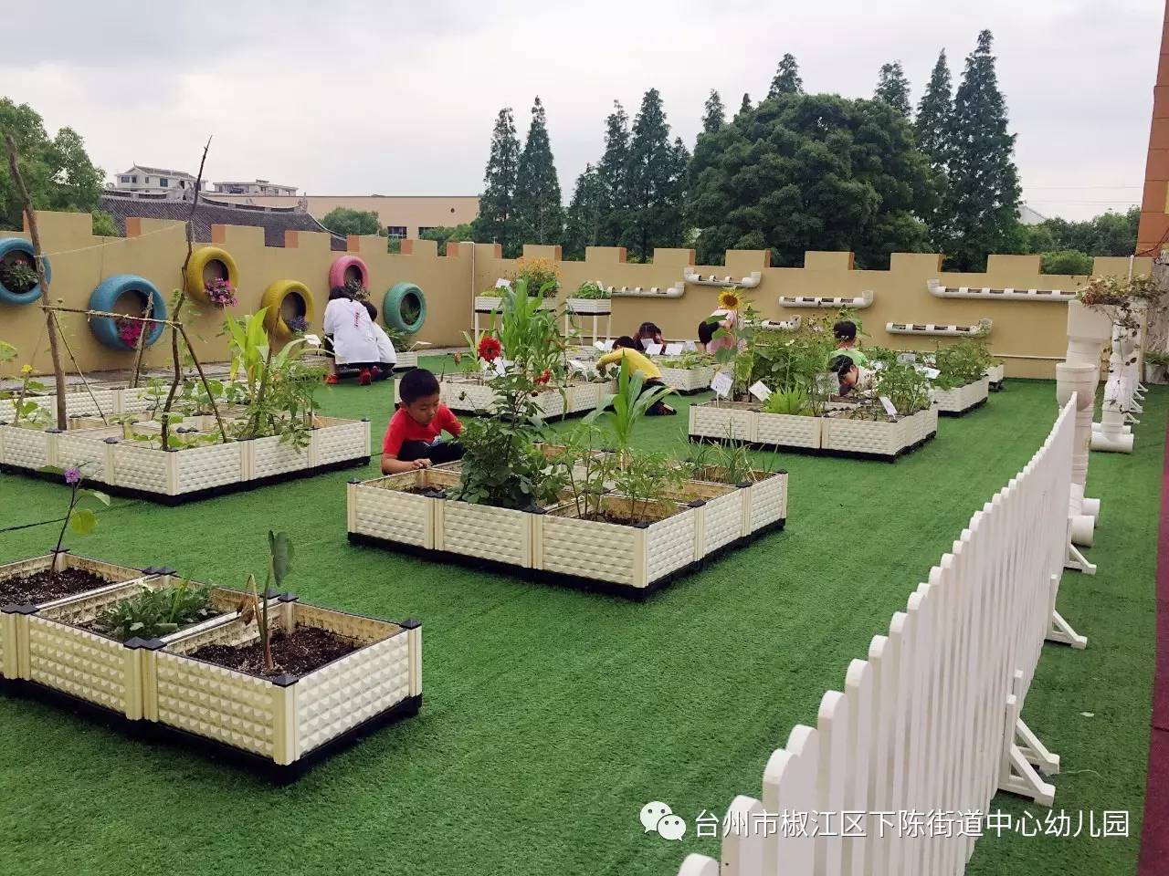 下陈街道中心幼儿园面向全区展示园本课程《快乐种植》