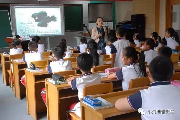 金普新区小学数学新任教师展示课活动在春华小学举行