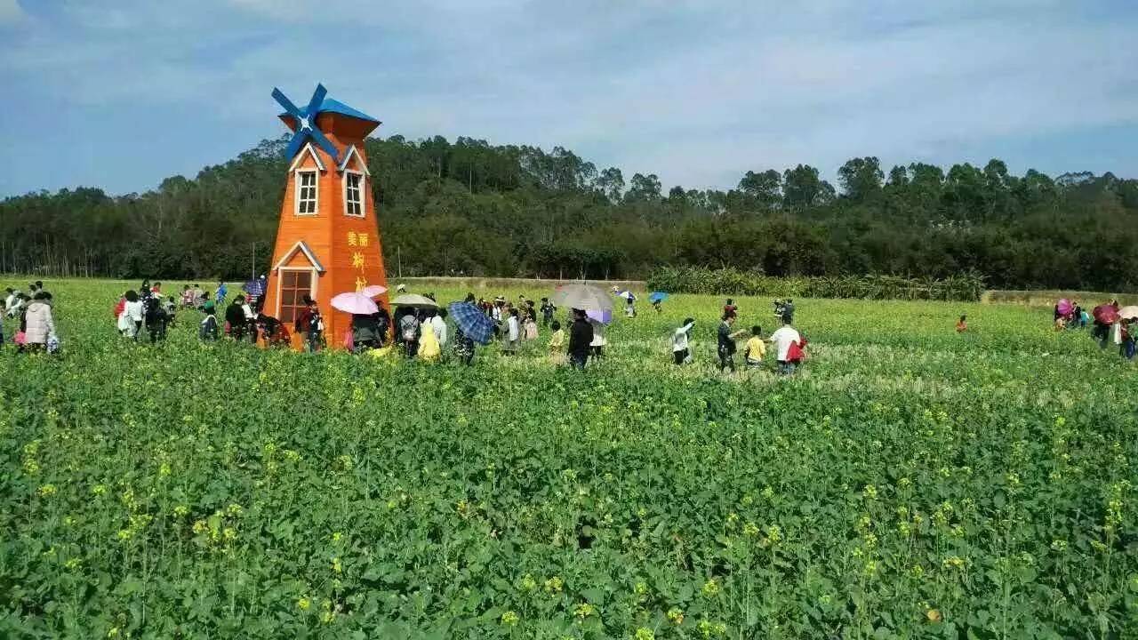 高州人总人口_高州冼太夫人庙图片(2)