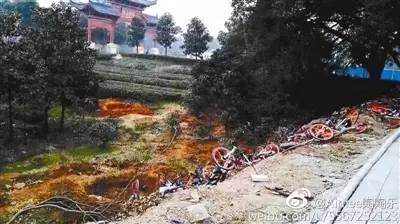 东湖前赵村人口普查_长乐区鹤上镇环东湖村