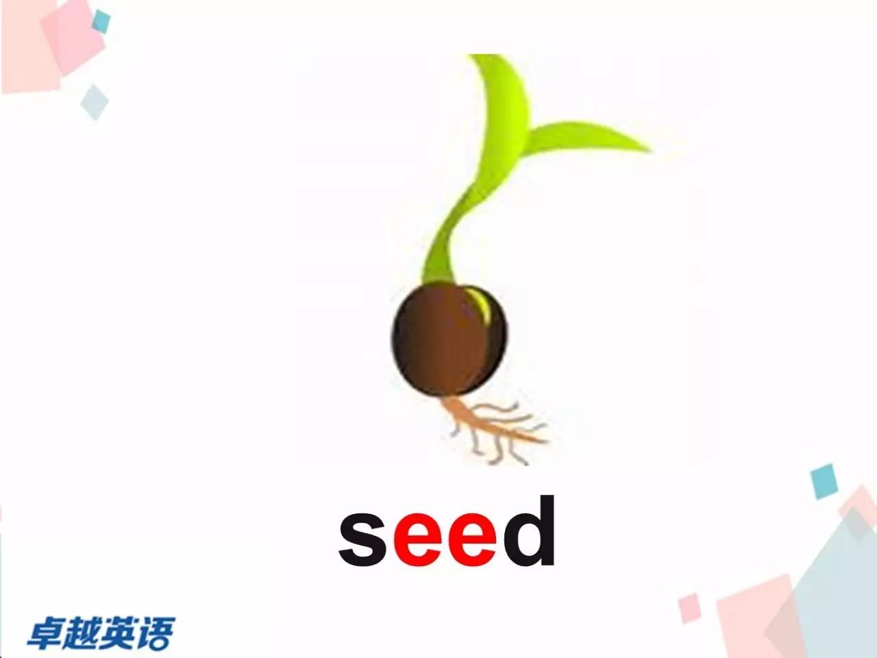 植物妈妈办法还有什么_表格式教案一年级数学下册教案_植物妈妈有办法表格式教案