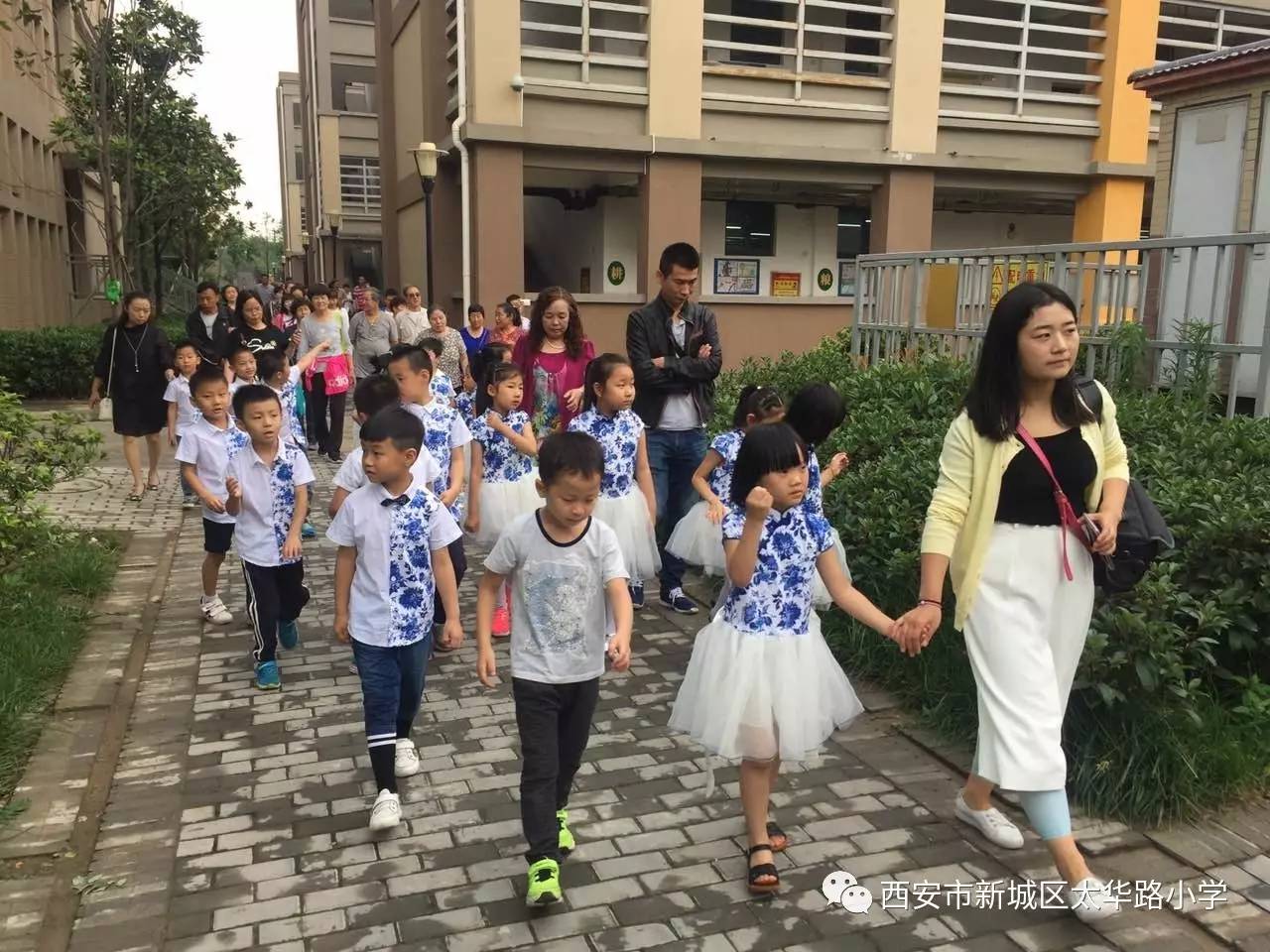 小客人来到太华路小学