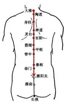 背俞穴——沿督脉旁开1.5寸的直线刮拭