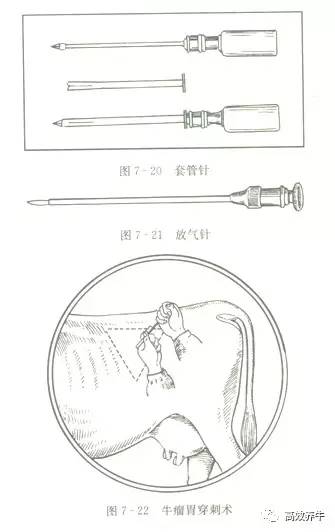 牛瘤胃臌气-常见病,如何防治?