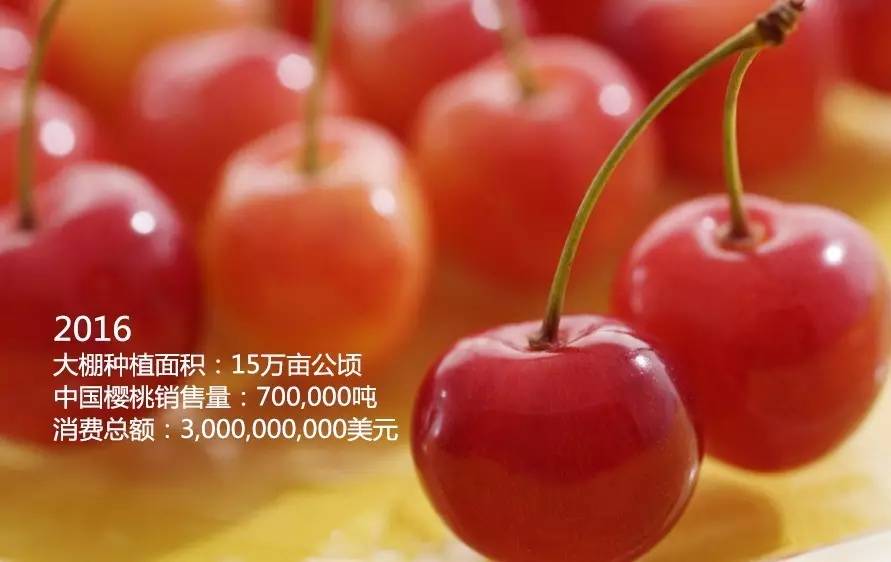 今天中国赢了!29个国家为中国樱桃喝彩!