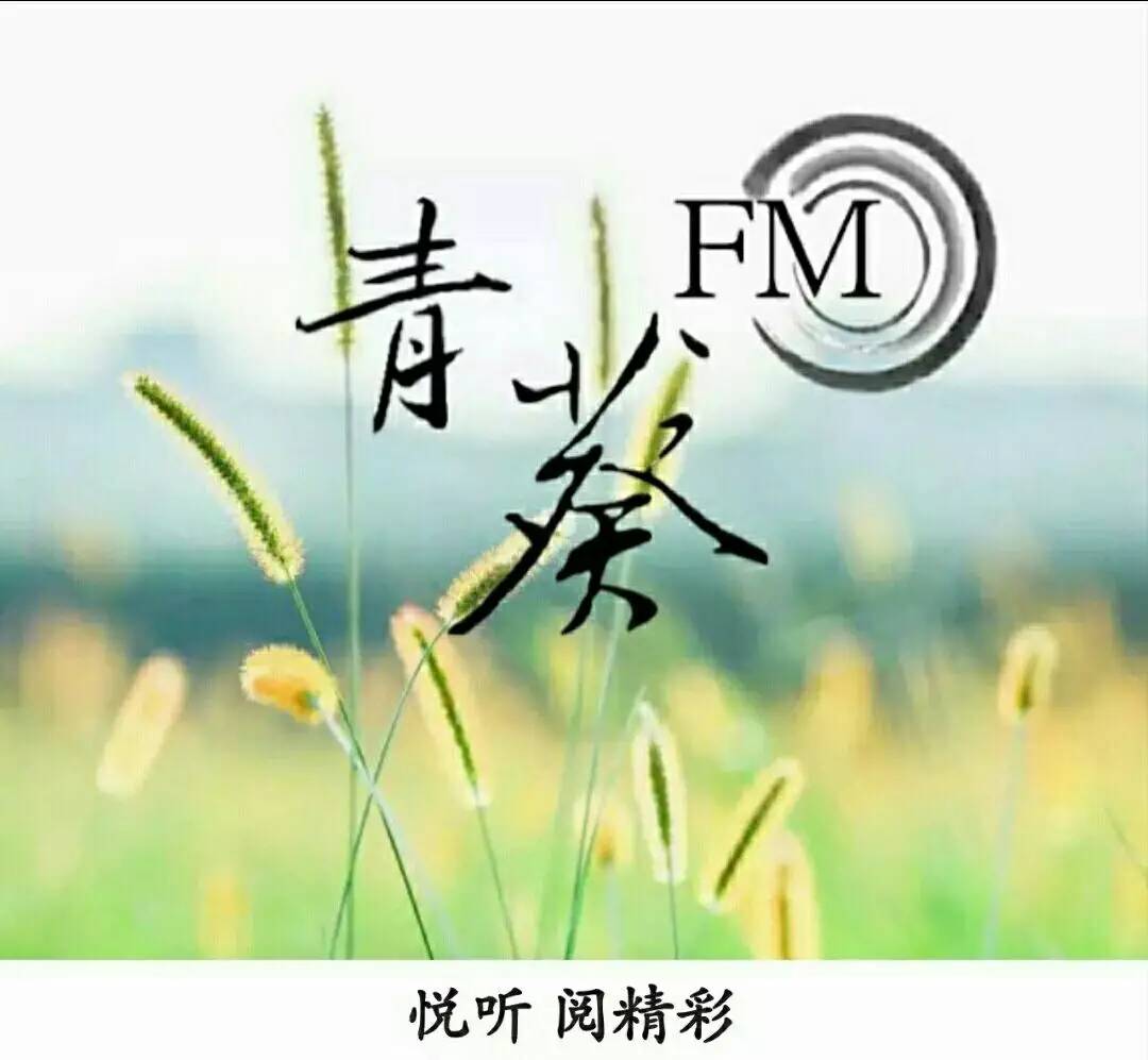 青葵fm丨深夜食堂的温州鱼丸