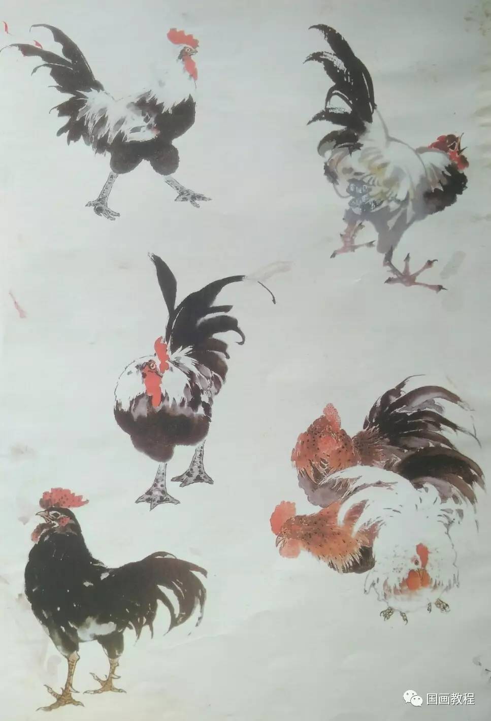 【国画教程】12集,公鸡的步骤画法(5)