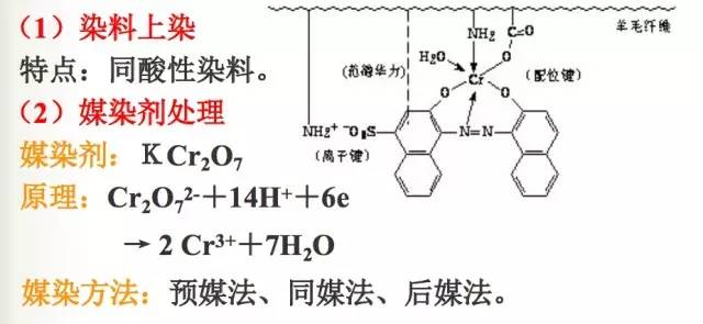 隐血1十