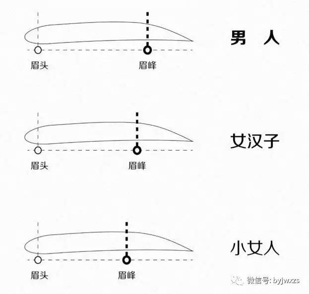 这个标准能让你设计好眉形!