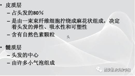 头发的三大结构头发的结构要学会美发,这些基础你一定要知道关注【圣