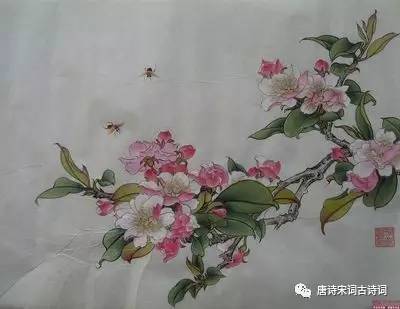 同儿辈赋未开海棠 海棠枝间新长出的绿叶层层叠叠的,小花蕾隐匿其间