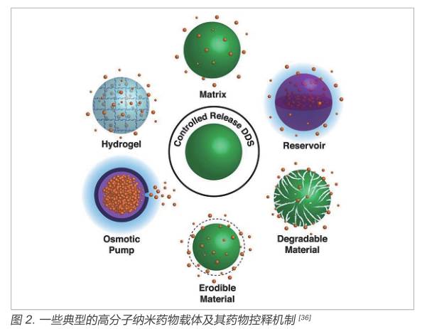 人寿保险能否贷款 个人小额贷款