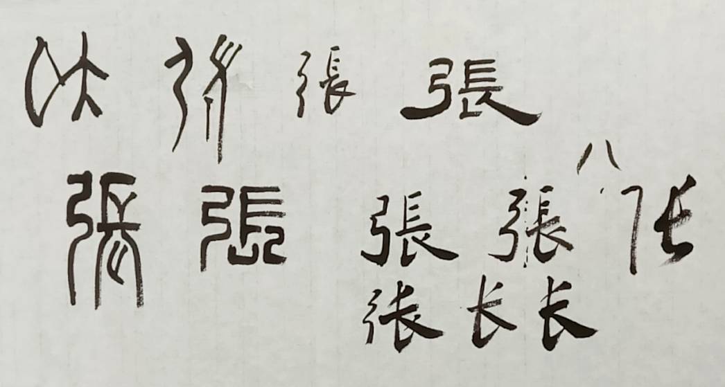 张姓的都该看看,"张"的五体写法及汉字演变