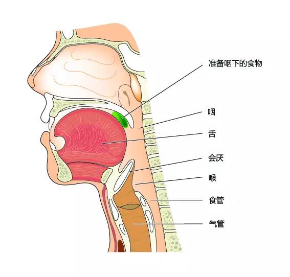 糖尿病人口臭什么味_糖尿病人能吃什么水果(3)