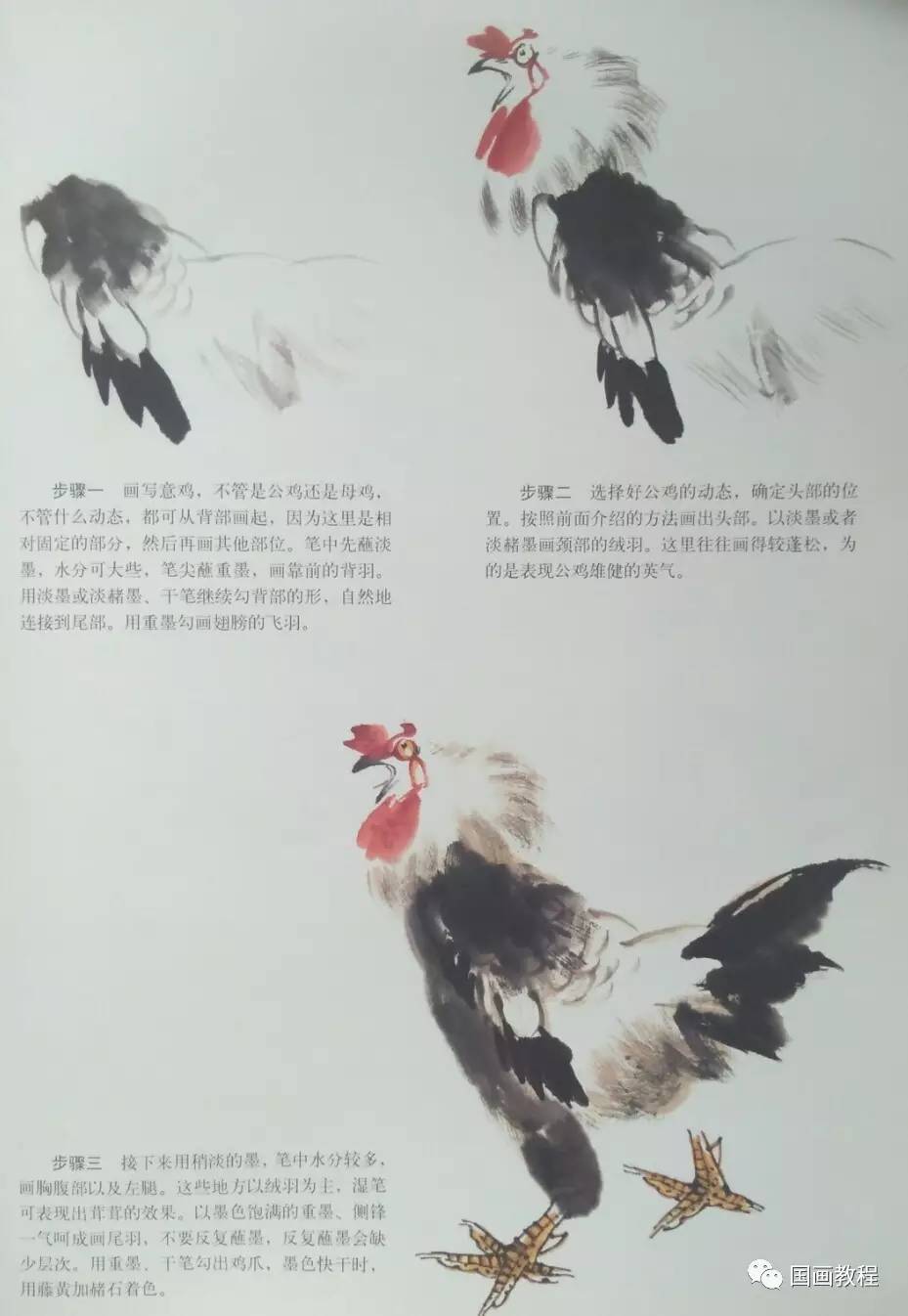 国画教程鸡的步骤画法6