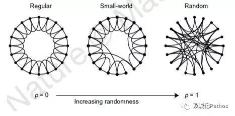 人口动力学_人口普查(2)