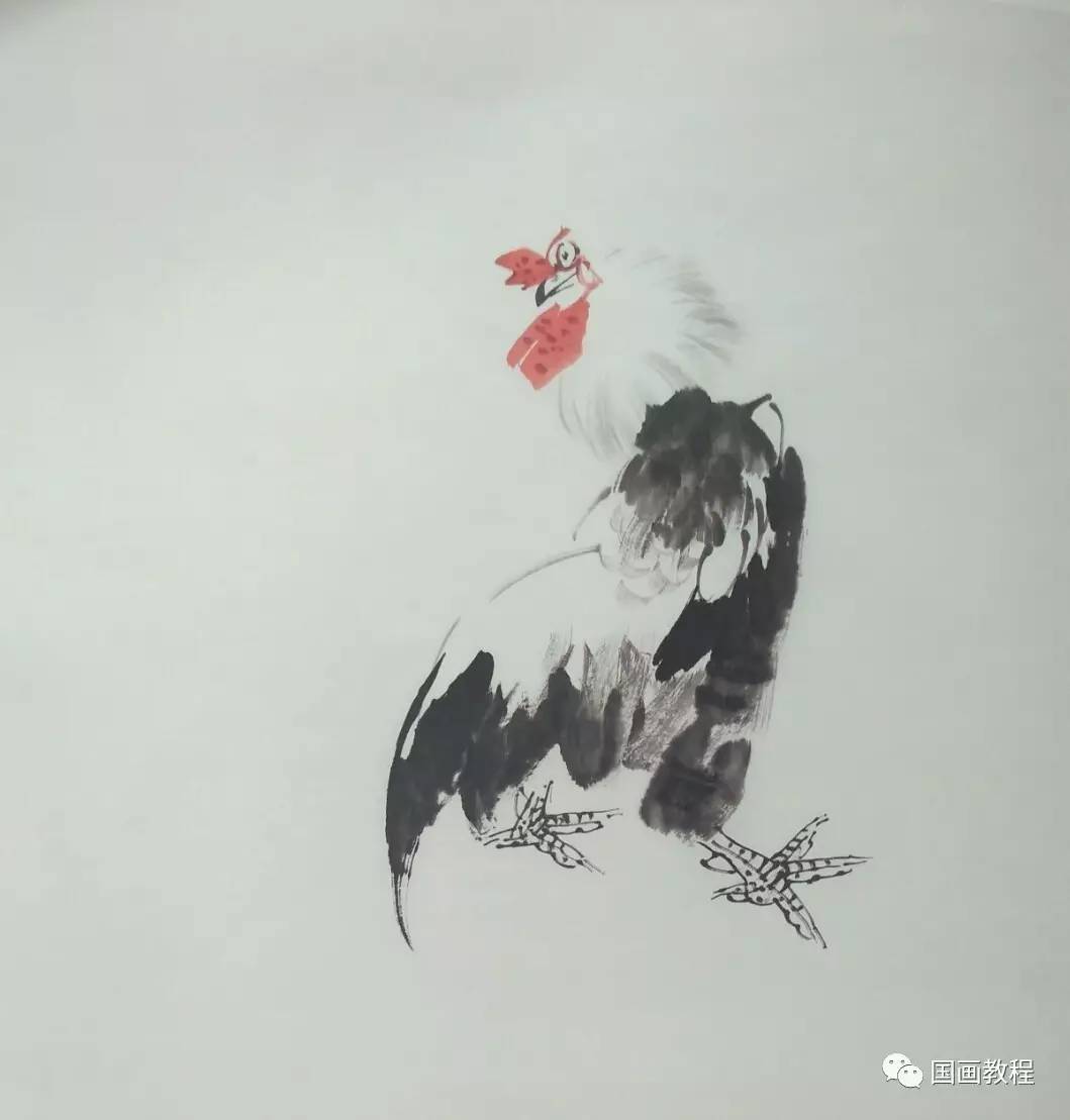 国画教程鸡的步骤画法6