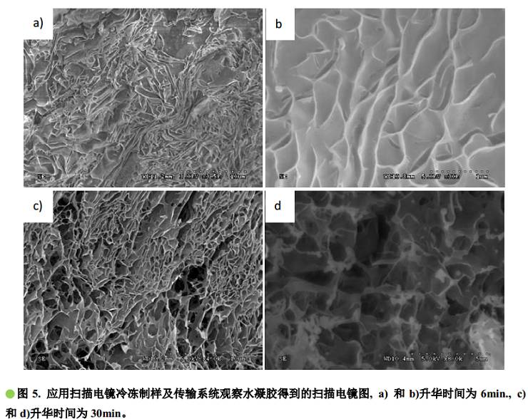 学术干货丨扫描电镜冷冻制样及传输系统(cryo-sem)的