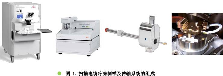 学术干货丨扫描电镜冷冻制样及传输系统(cryo-sem)的应用