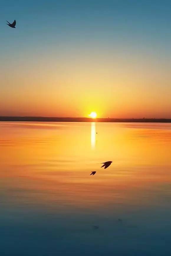 若不是心宽似海,哪来的风平浪静