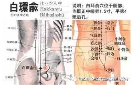 白环俞:月经不调,白带,腰部疼痛