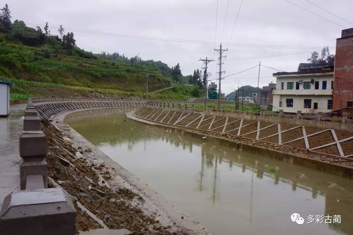 民生遭遇暴雨后的鱼化