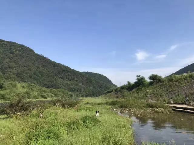 旅游 正文  来源:江西大浩山兆吉沟旅游风景区 投稿,爆料请联系 qq