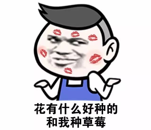 表情包丨哪些情话用来调戏对象最奏效?