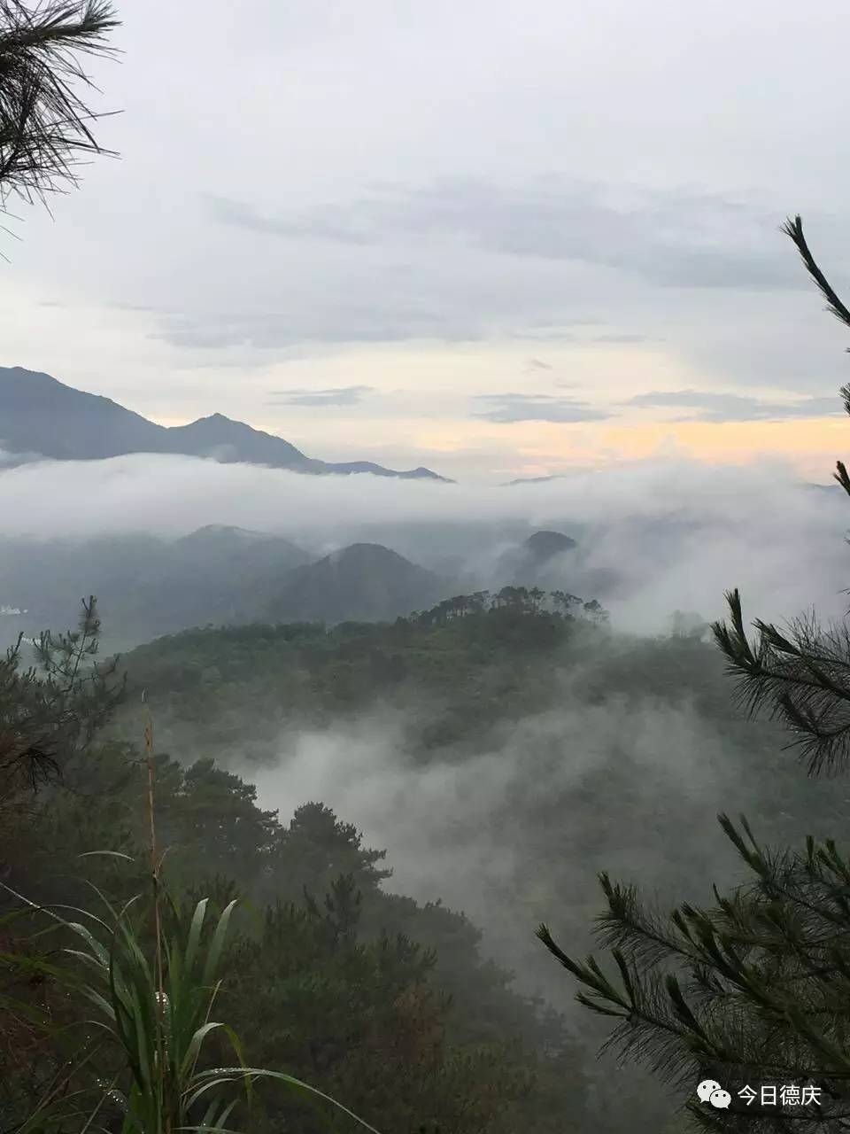 暴雨过后,在香山远处一角,烟雾弥漫,如同仙境一般!