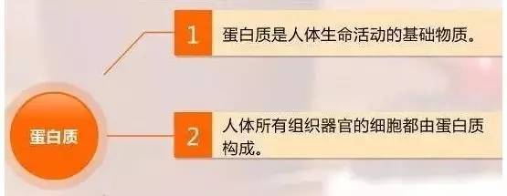 蛋白质三种内在平衡是人体健康的重要因素