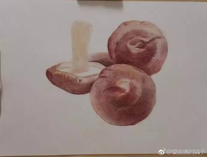 彩铅达人步骤临摹 巧克力&香菇(爱画画的娟子)