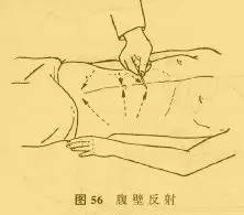 16,腹壁反射的检查及听诊肠鸣音