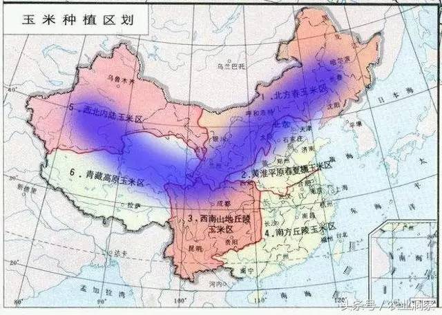 农村卖玉米主要这两个时间点最关键,错过了价格就卖不