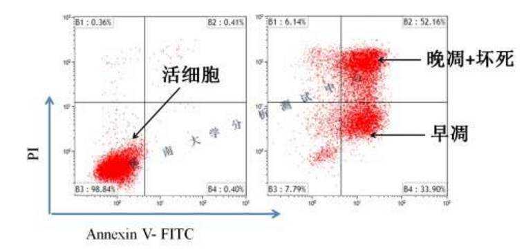 dna在胶回收gdp里过夜_dna双螺旋结构