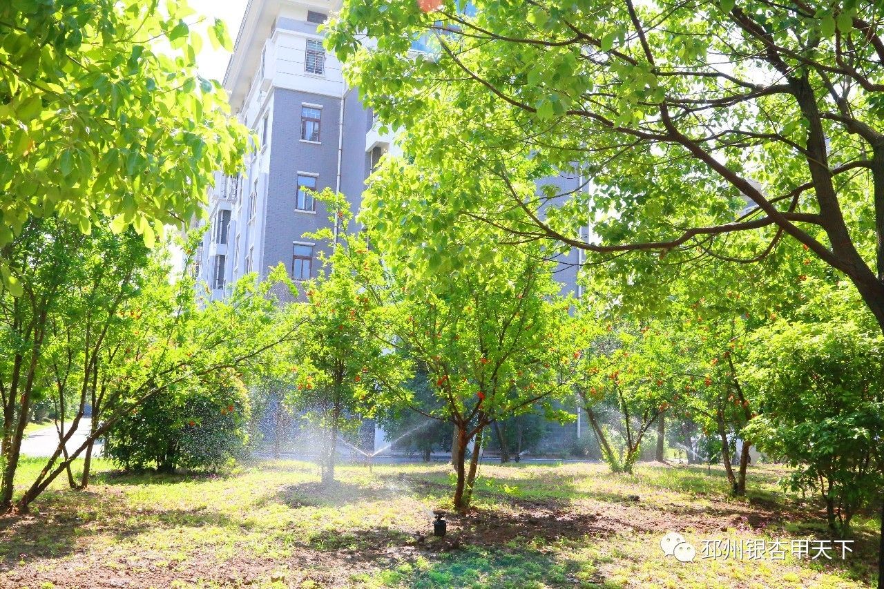 小区:收集雨水灌溉绿化