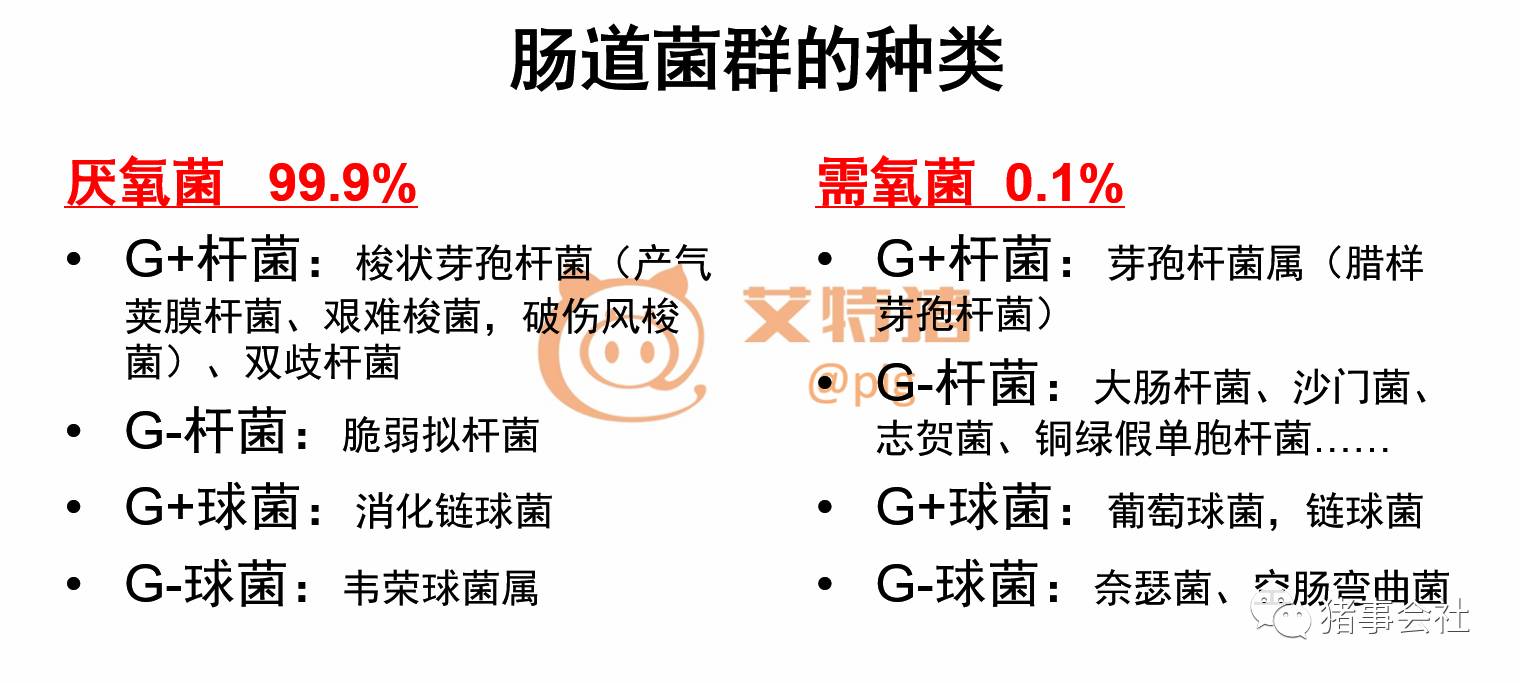 涂氏人口_涂姓,姓涂的名人(3)