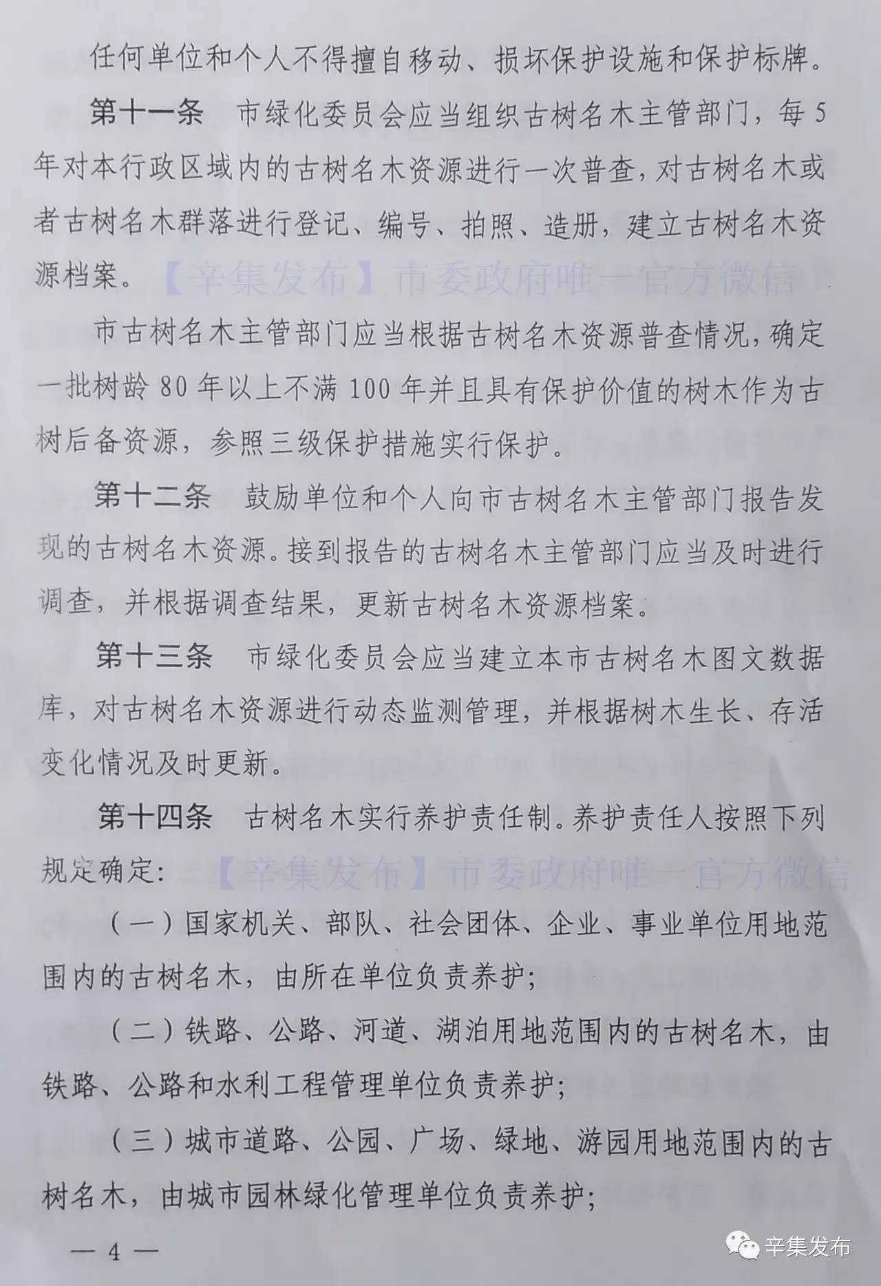 老槐树简谱_二胡曲老槐树下简谱(2)