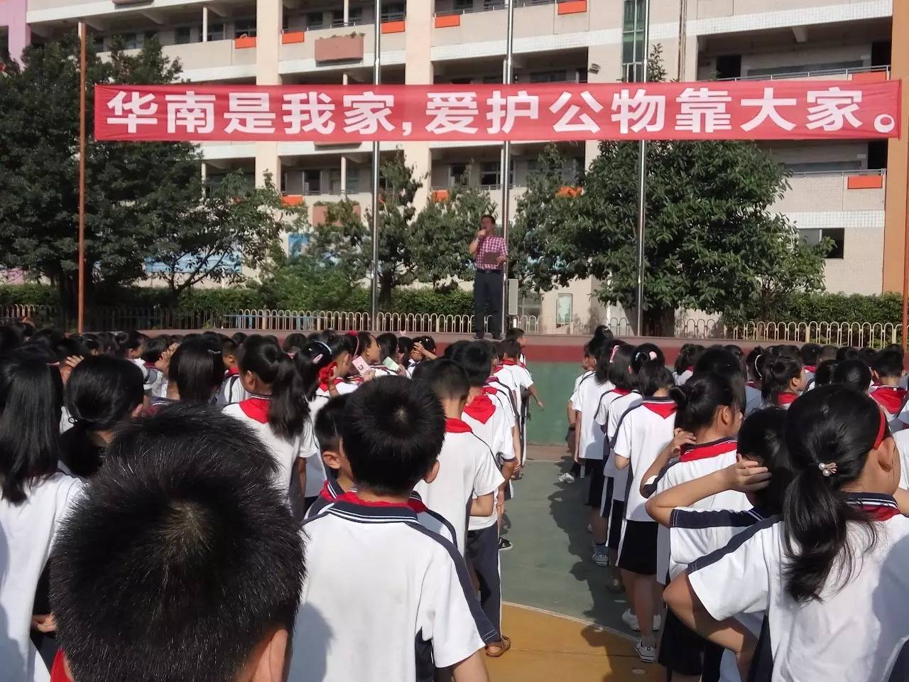 【华南中英文学校】同学们纷纷响应号召,爱护公物