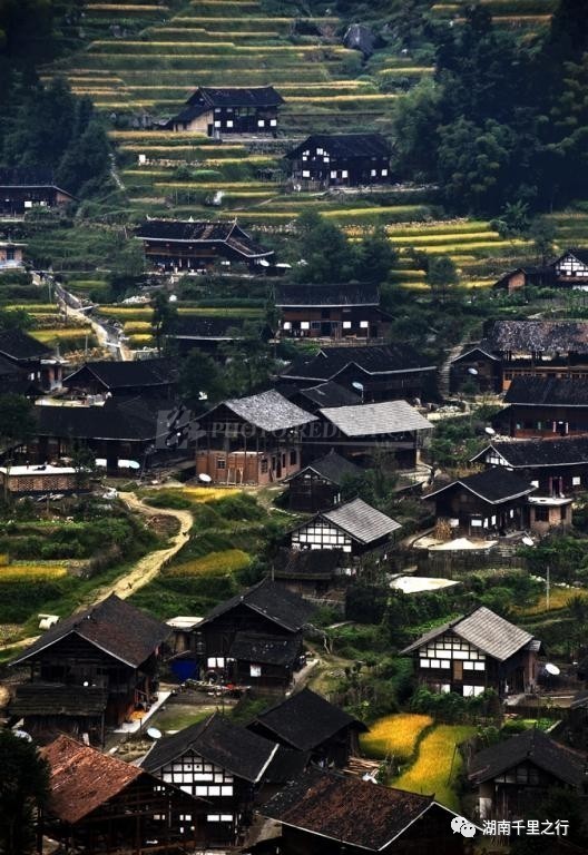 6.17~18休闲腐败紫鹊界梯田;行摄中国最美乡村(正龙古村)