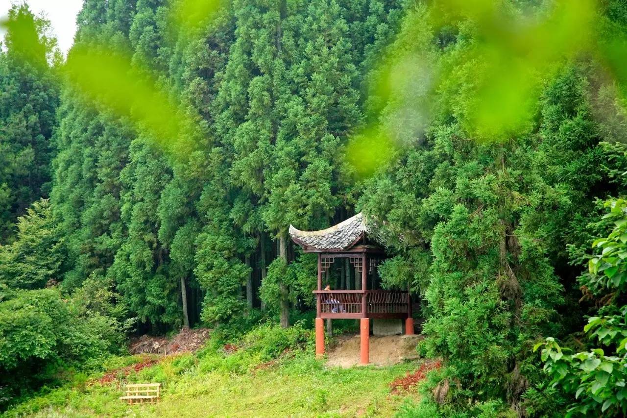 石柱七大避暑地出炉快来清凉一夏吧