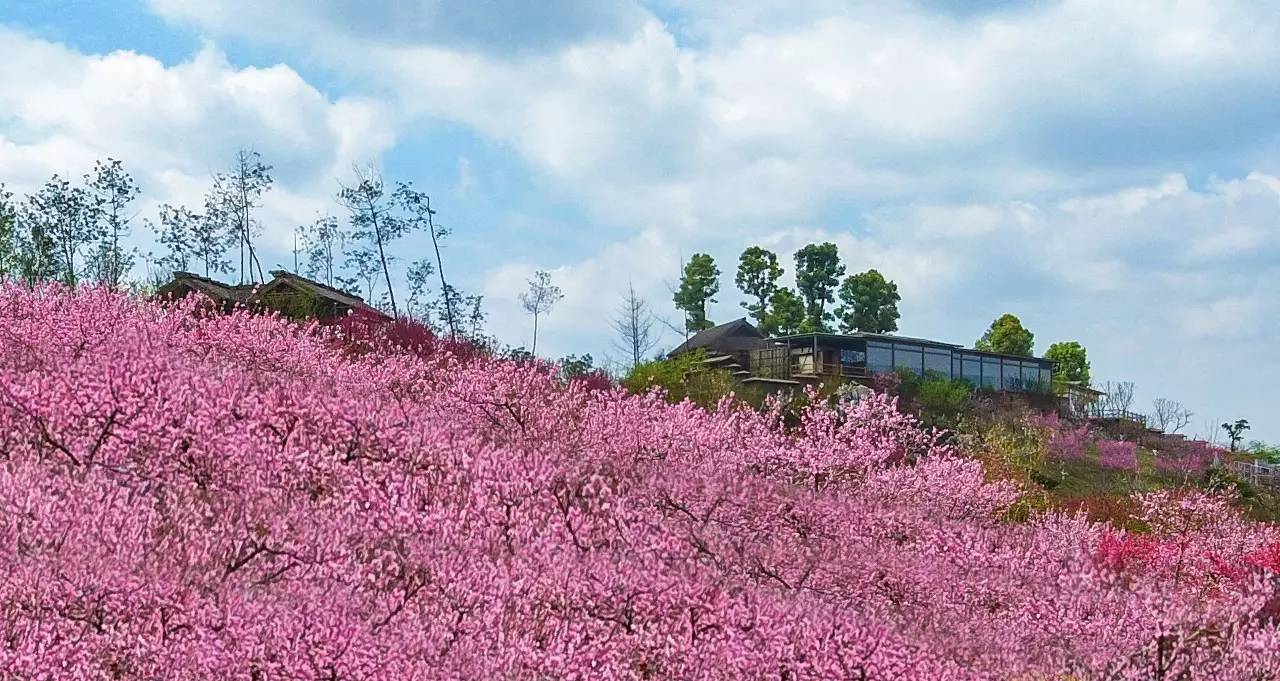 【成都秀丽东方生态文化景区    四季美景】