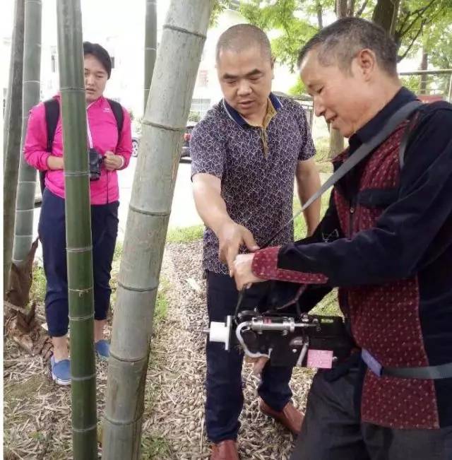 全省多地积极开展森林病虫害防治