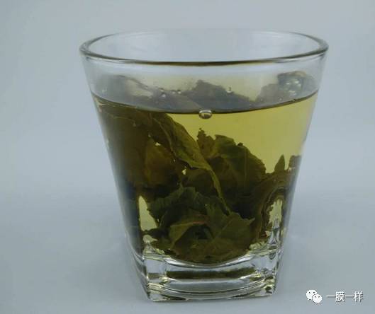 绿茶红茶白茶黄茶青茶黑茶,哪一种茶最适合你喝?