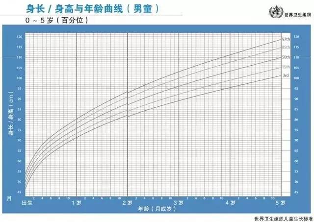 3,头围