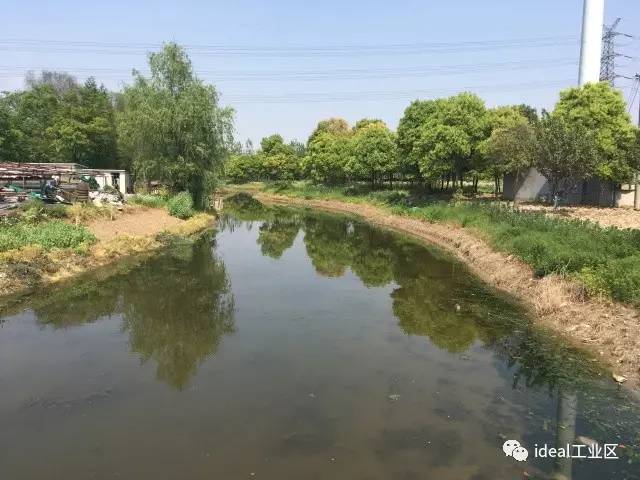 阳光下的河面倒映着河边的树木,河水干净得透明.