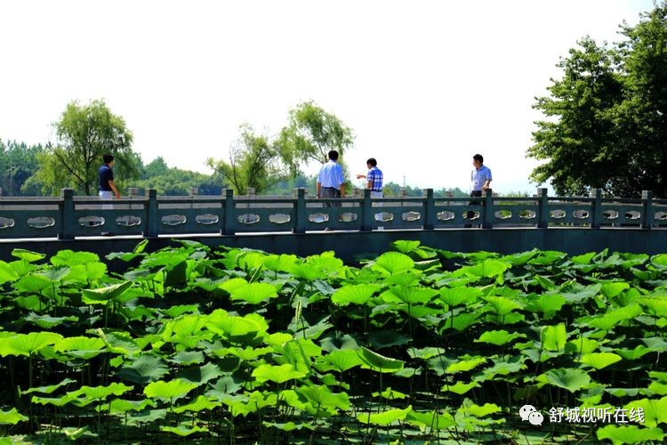 不是仙境胜仙境舒城荷花堰生态风情园不要这么美周末如果想去领略舒城