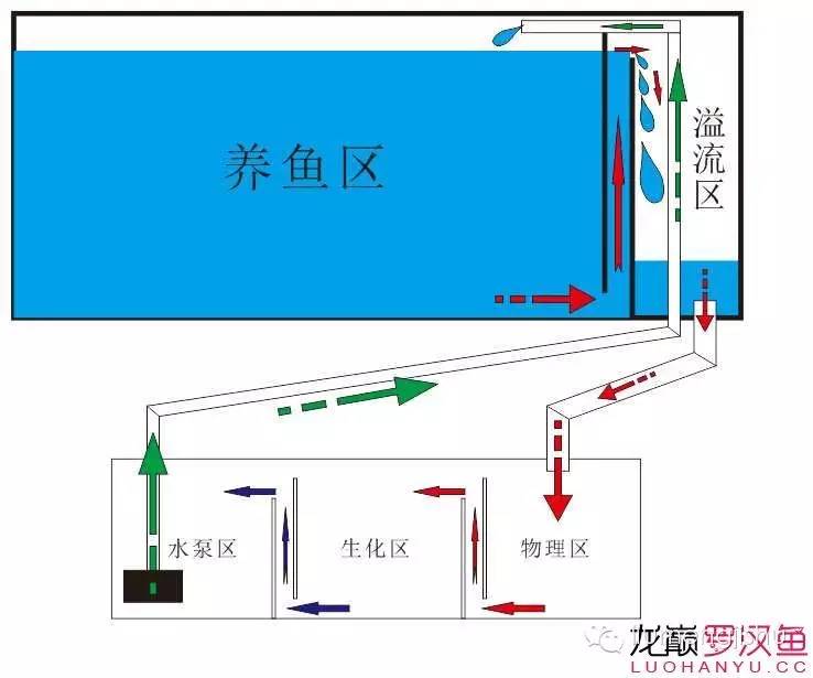 流氓解说底滤