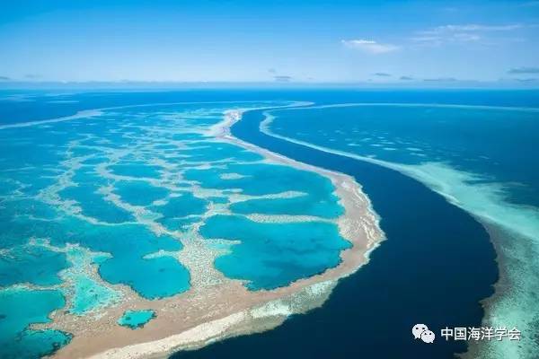 △ 蓝色珊瑚海海岸,力与美的结合.(图片来源:digiphoto.techbang.