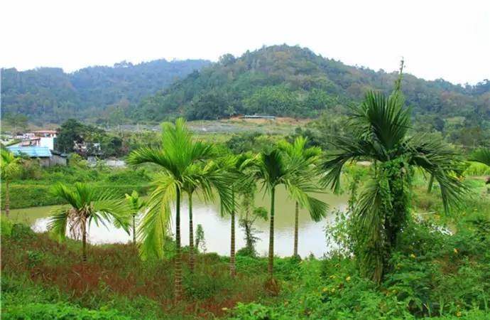 如果想体验海南的村庄,也可以选择爬五指山前在水满乡住一下.
