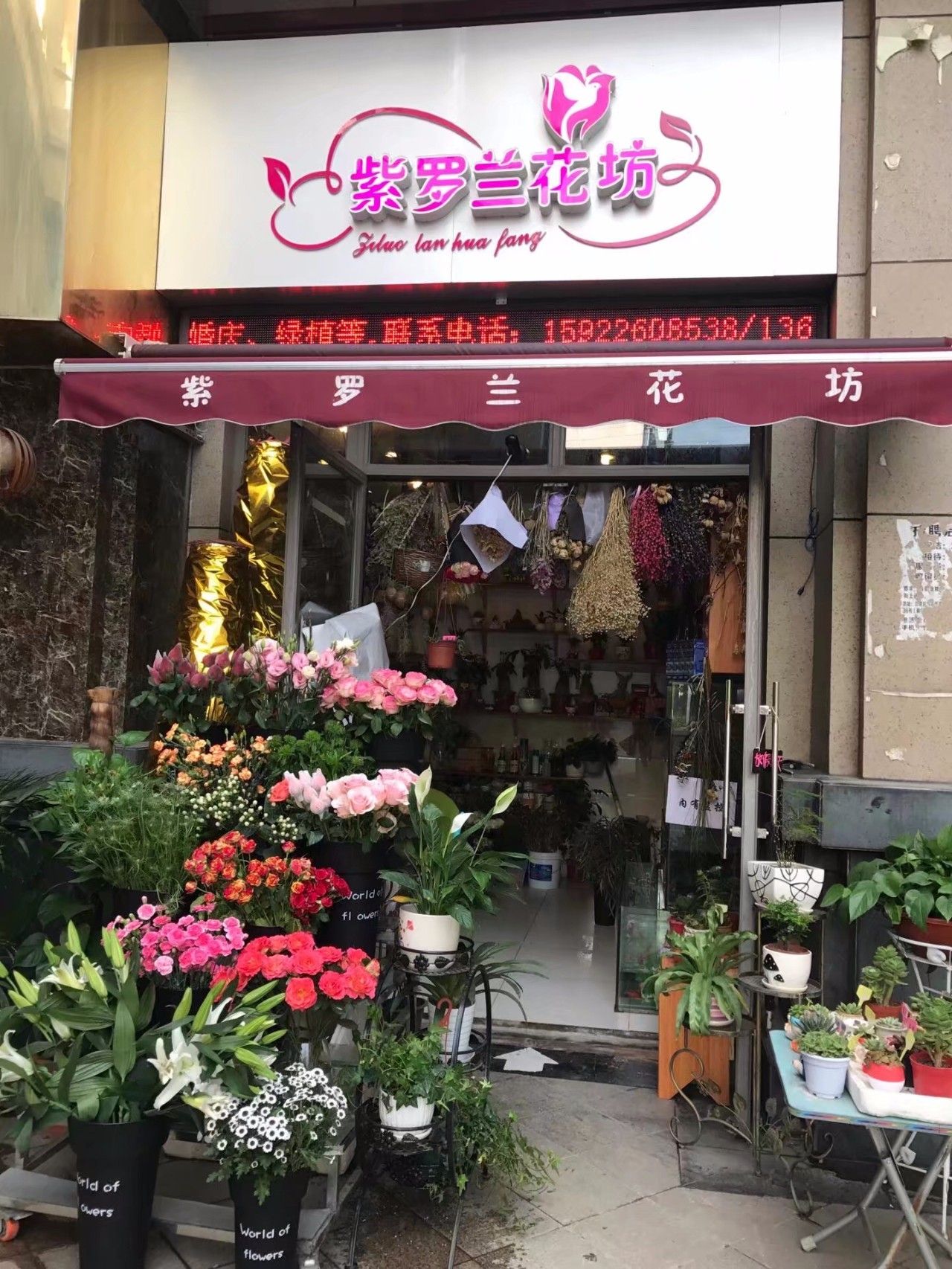 云花盛典-斗南首届花店业交流会,花店主有话说!